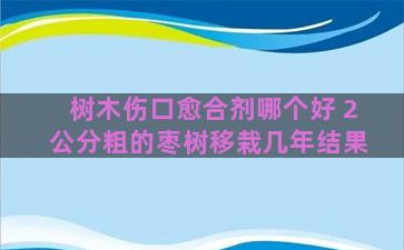 树木伤口愈合剂哪个好 2公分粗的枣树移栽几年结果